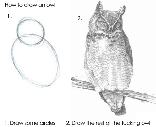 draw the rest of the fucking owl meme image
